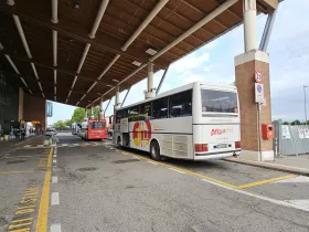 Bussid Veneetsiasse, Mestre ja Treviso AirLink (punane keskel)